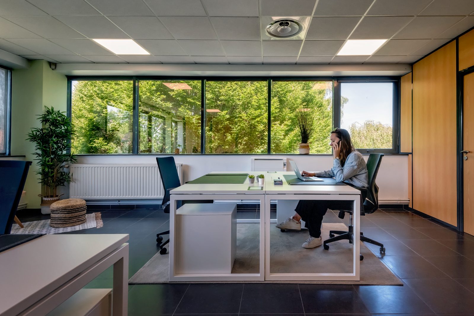 Bureau au vert