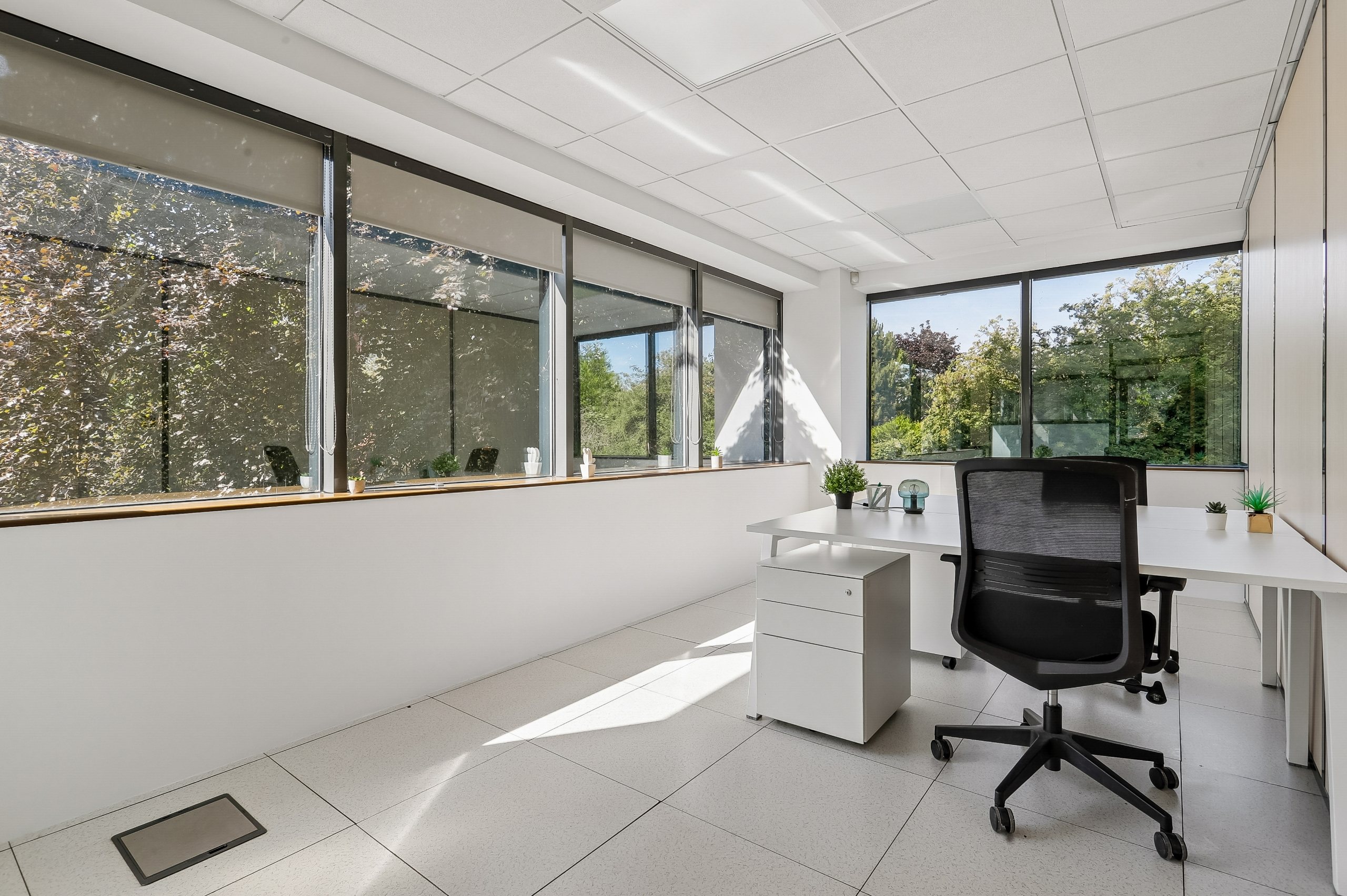 Bureau au vert